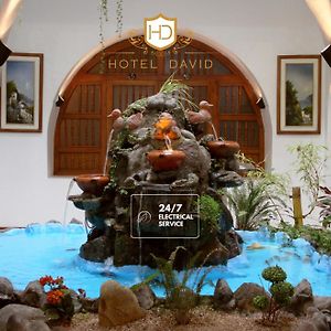 Hotel David